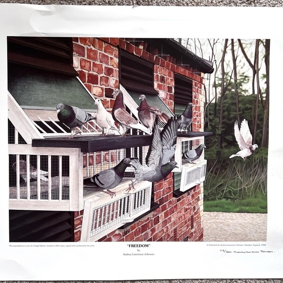 Audrey‎ Lawrence Johnson Freedom Art Print Signed and Numbered 1994 - Picture 1 of 4